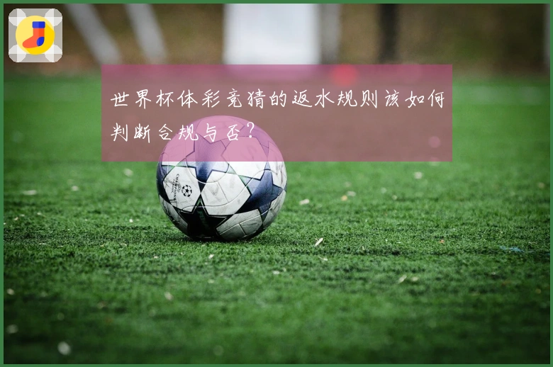 世界杯体彩竞猜的返水规则该如何判断合规与否？