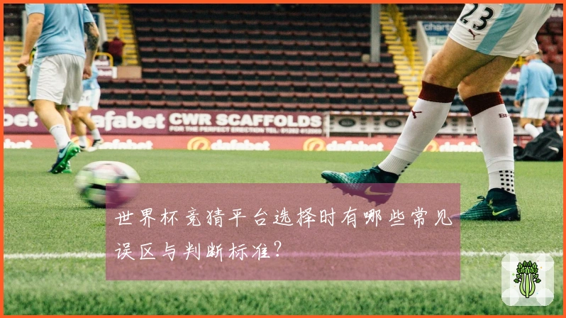 世界杯竞猜平台选择时有哪些常见误区与判断标准？