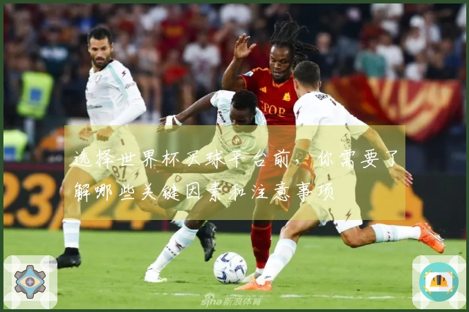 选择世界杯买球平台前，你需要了解哪些关键因素和注意事项