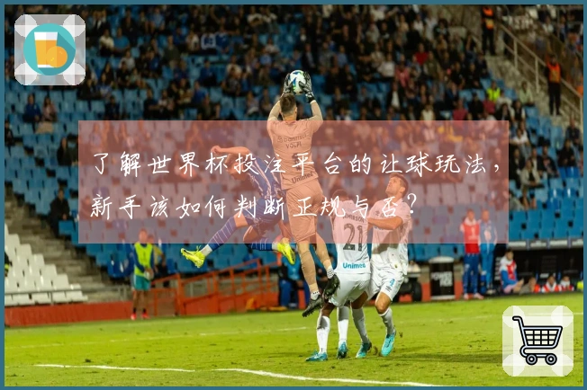 了解世界杯投注平台的让球玩法，新手该如何判断正规与否？