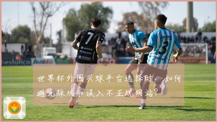 世界杯外围买球平台选择时，如何避免踩坑和误入不正规网站？